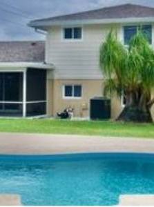 A pool with a cat sitting on the side of it.